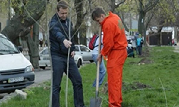 Одесские активисты озеленили улицы города