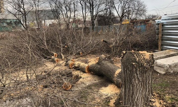 В Одессе ради АЗС вырубили деревья 