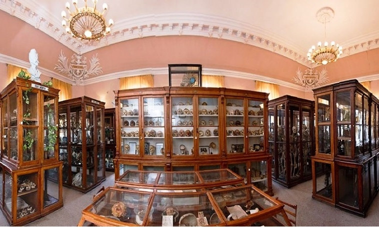Одесский музей анатомии приглашает на экскурсию - в масках и по записи