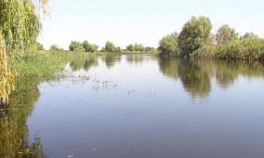 В Одесской области авто упало в Дунай: погиб водитель