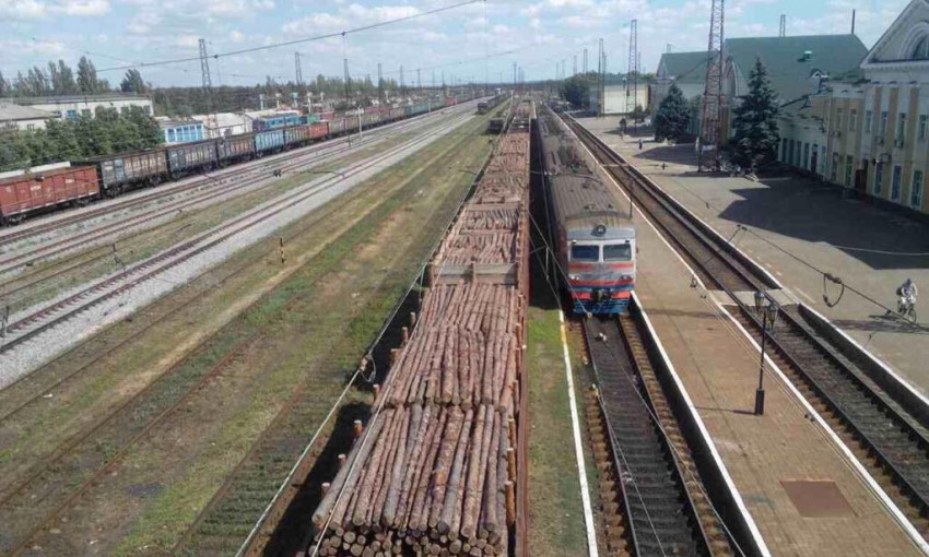 Злоумышленники пытались вывезти в Донецк древесину на сумму более одного миллиона гривен