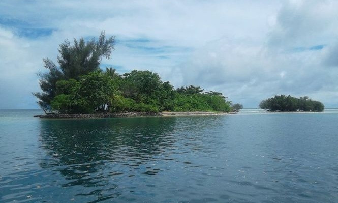 Остров Репида: в Измаильском районе возводят дублирующую дамбу