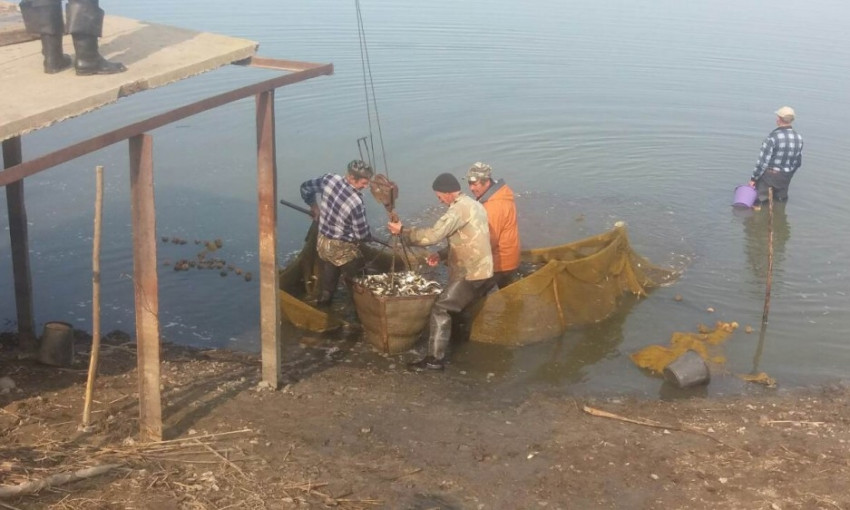 В водоёмах Одесской области проходит зарыбление