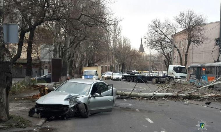На Черноморского Казачества автомобиль свалил тополь, авария спровоцировала огромнейшую пробку