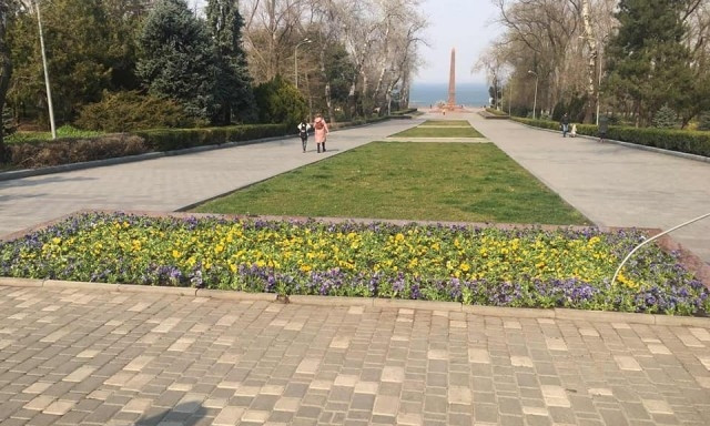 В Одессе устроят больше 4 квадратных километров цветников 