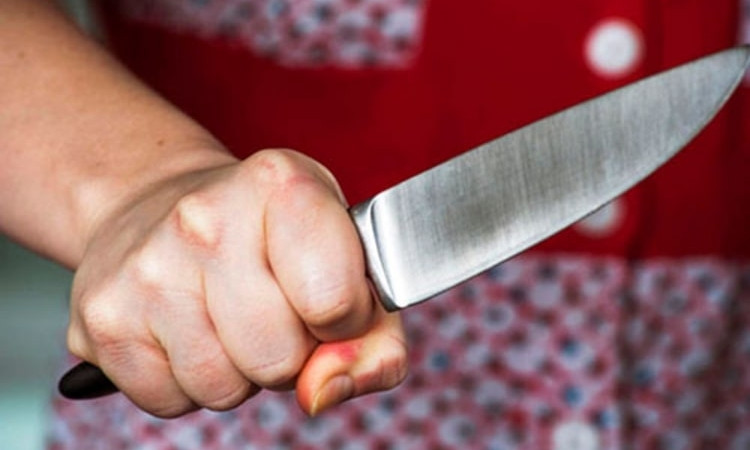 Бытовая ссора: жена засадила в мужа нож