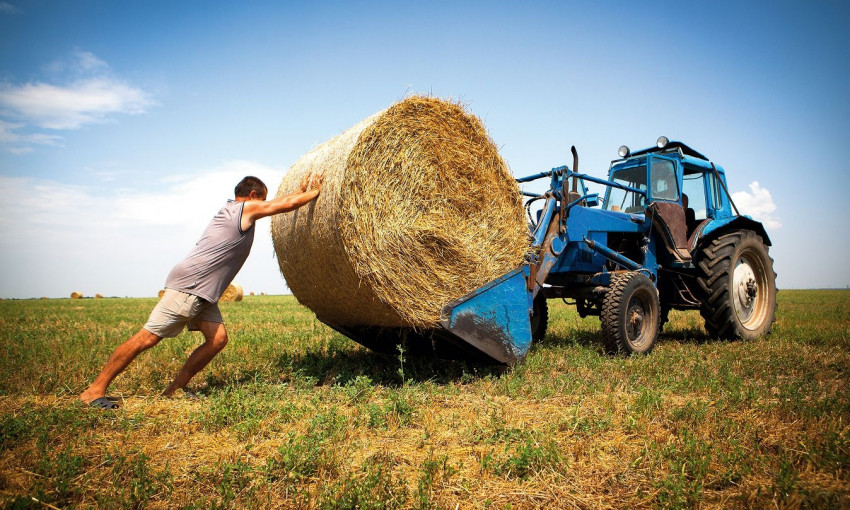 В ОГА призывают фермеров получить новую субсидию