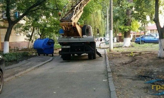 В Одессе огромная ветка упала на авто и повредила провода
