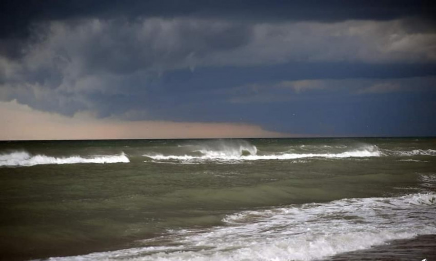 В одесском море после обильных дождей обнаружили нейротоксин