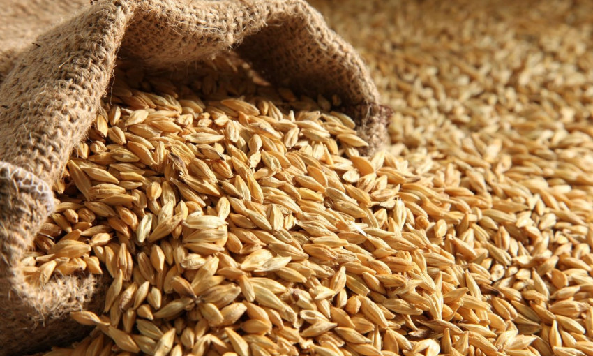 Хранилища Кулиндоровского КХП пополнились на 40 тысяч тонн зерна нового урожая