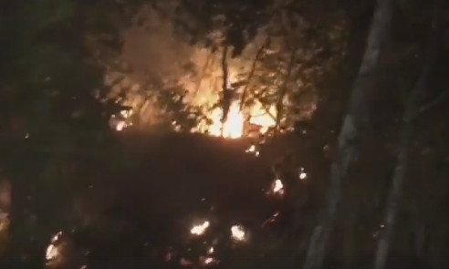 Масштабный пожар в Аркадии: на склоне горит трава