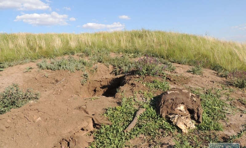 В Одесской области чёрные археологи разграбили скифский курган