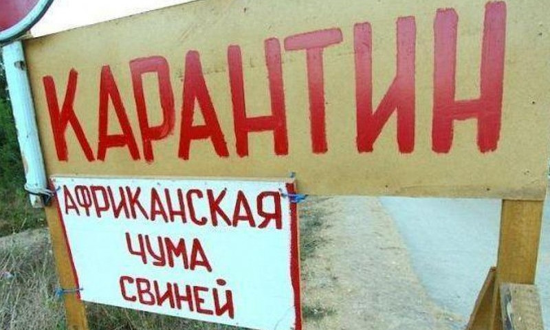 Беларусь запрещает ввоз свинины из Одесской области