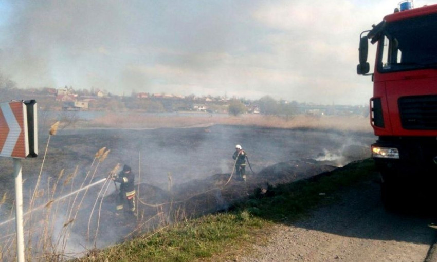 Пожарные с утра не могут потушить пожар в Нижнеднестровском национальном парке