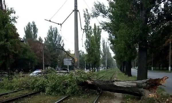 Одесса приходит в себя после бури: упавшие деревья и порванные провода
