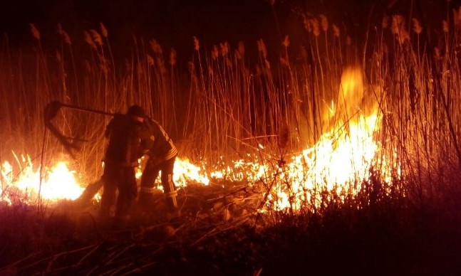 Большой пожар под Одессой: на полях орошения горит камыш