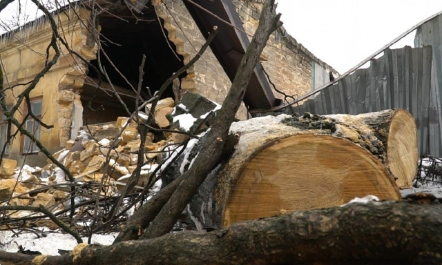 Пенсионерке, которой дерево разрушило дом, помогают восстановить жилище 