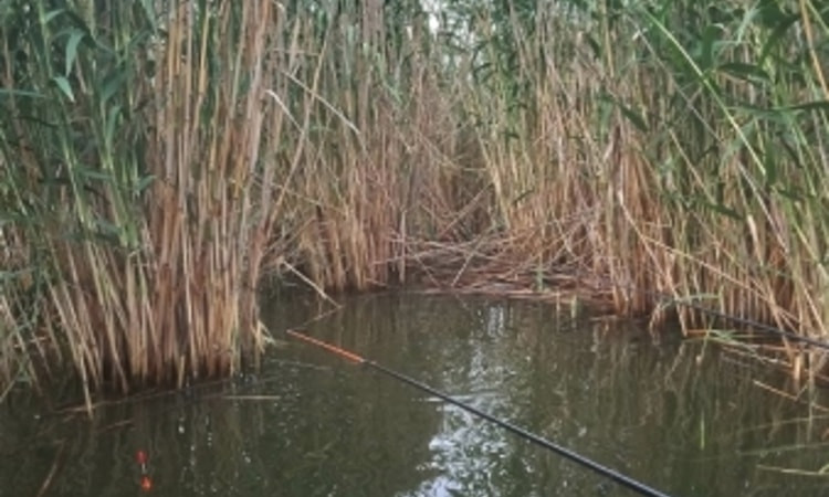 Озеро Ялпуг: утонувший рыбак найден — ведутся поиски его сына