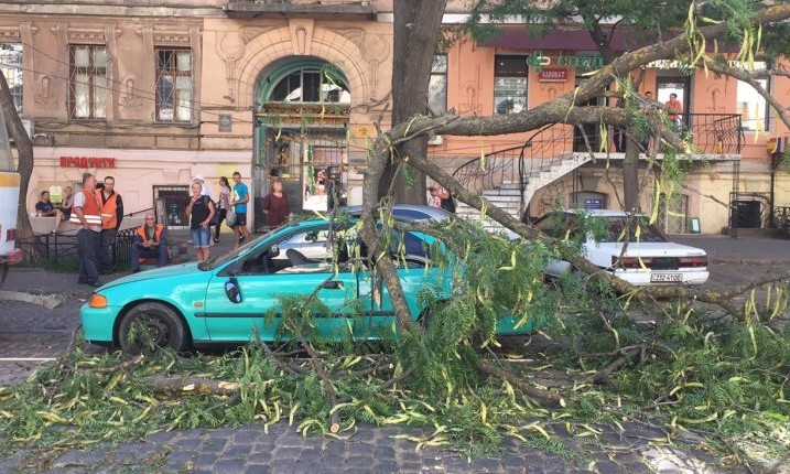 В Одессе упавшее дерево повредило две машины 