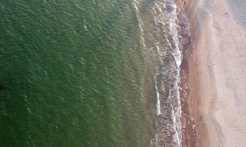 Фото дня: яркий осенний берег моря в Одессе с высоты птичьего полета