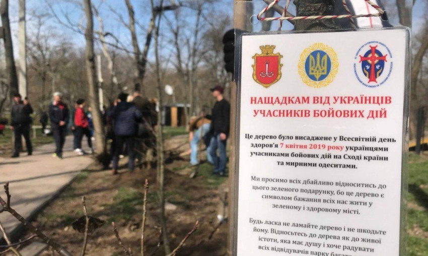 Ветераны боевых действий на востоке высадили в парке Горького аллею дубов
