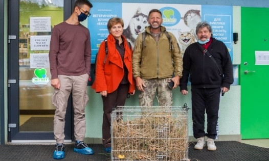 Спасенная барсучиха едет в "Тузловские лиманы". Пострадавшими дикими животными займется зоопарк Одессы 