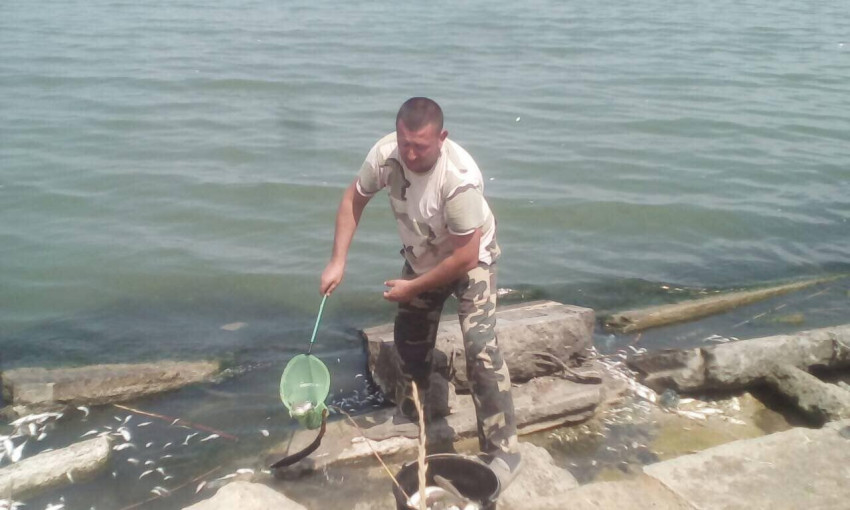 Массовая гибель рыбы под Одессой