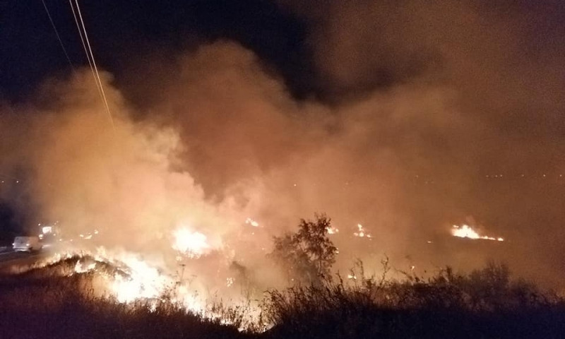 Из-за погодных условий горел Куяльник: пострадали птицы и деревья