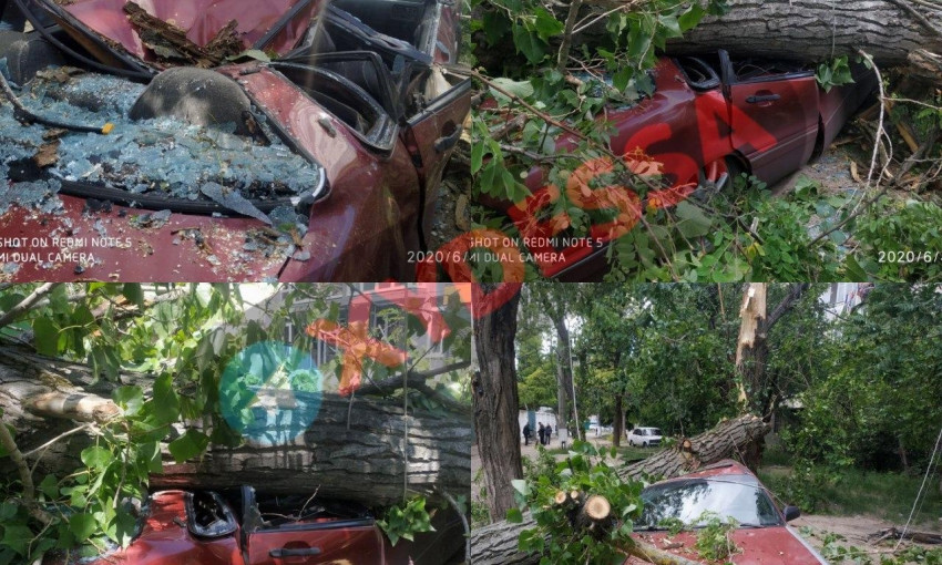 В Одессе снова деревопад – автомобиль разбит в хлам 