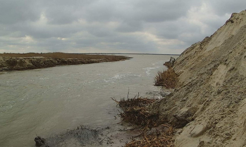 Тузловские лиманы спасает сама природа – вода прорвалась через песчаную косу 