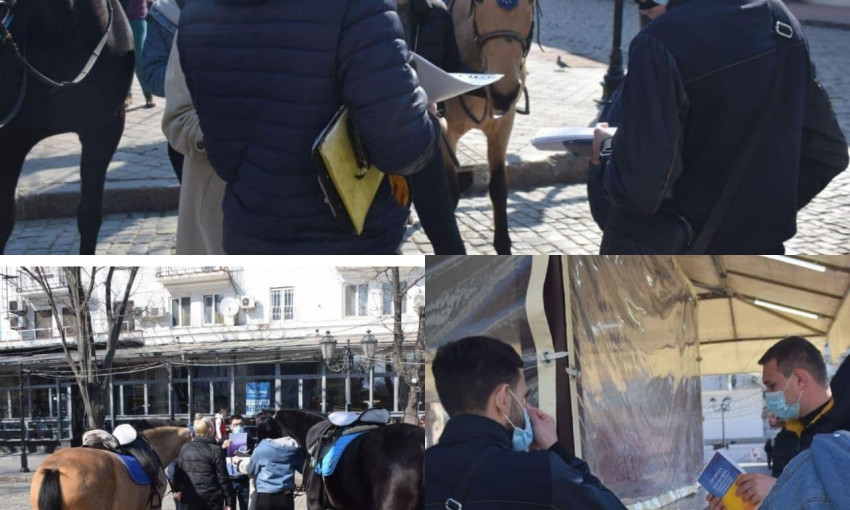 Владельца лошадей, который катал прохожих на одесской улице, оштрафовали 