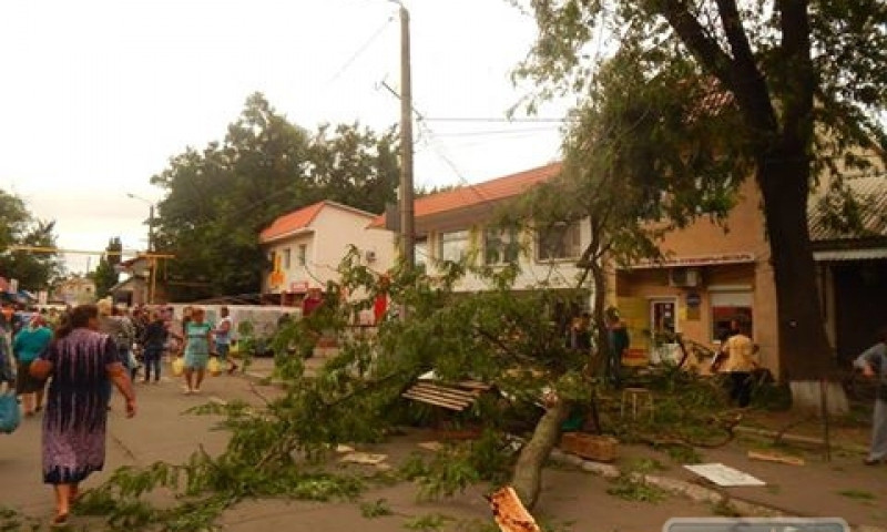 В Одесской области упавшее дерево придавило женщину