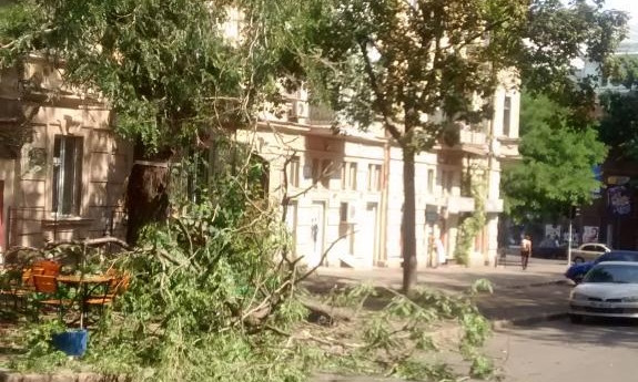 В центре Одессы обрушилась ветка