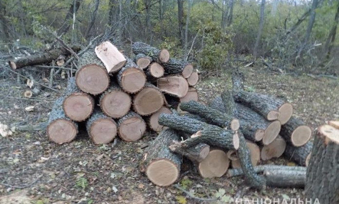 В Одесской области троих браконьеров будут судить за незаконную вырубку