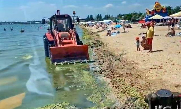 На пляжах Одесчины приступили к уборке зеленых водорослей - тонны мусора