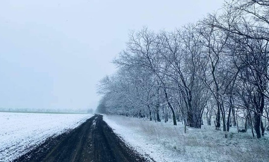 В Одесскую область заглянула зима 