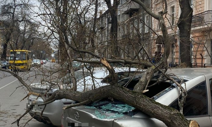 Два автомобиля пострадали из-за непогоды в Одессе