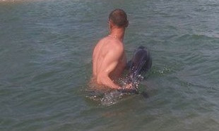 В "Тузловских лиманах" спасали дельфина