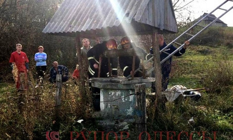 Жительница Подольского района упала в пятиметровый колодец
