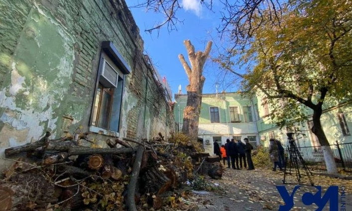 Одесские коммунальщики рассказали, зачем изувечили исторический "пушкинский" тополь 