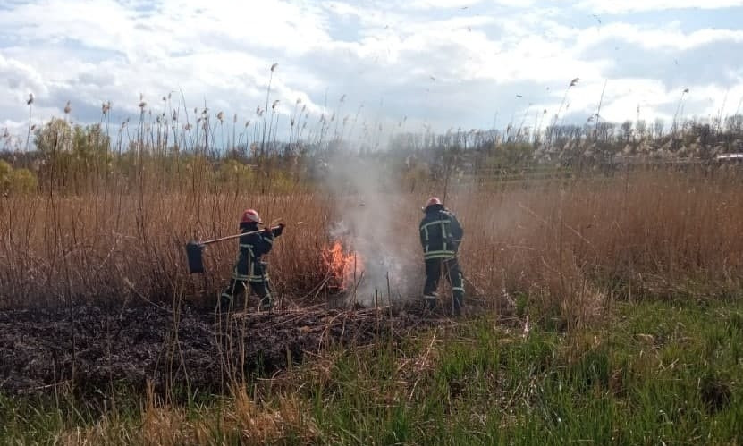 В Одесской области выросла пожарная опасность 