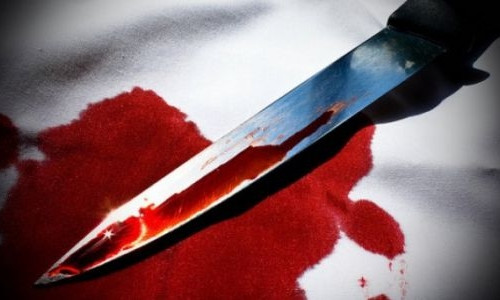 В Одесской области нежеланного гостя выпроводили ножом