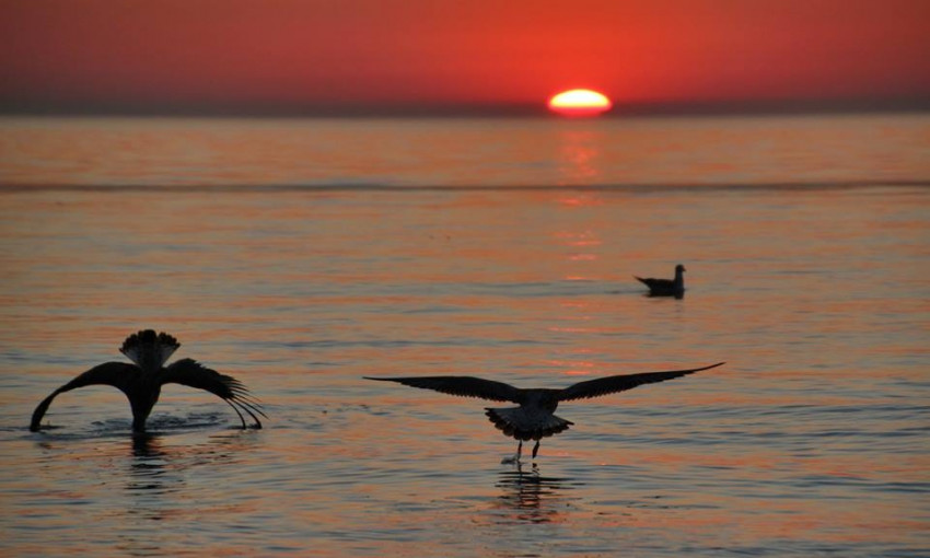 Невероятной красоты восход солнца над Черным морем в Одессе