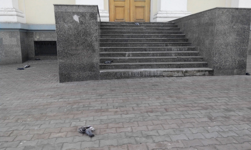 Массовая гибель голубей на Соборной площади