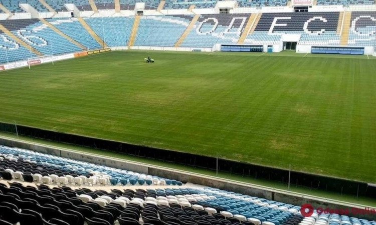 Состояние травы на стадионе «Черноморец» значительно улучшилось