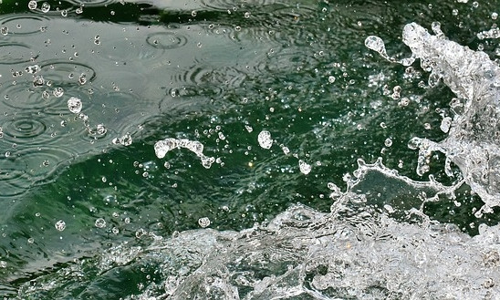 Клещи, корь и состояние воды на пляжах Одессы: новые данные