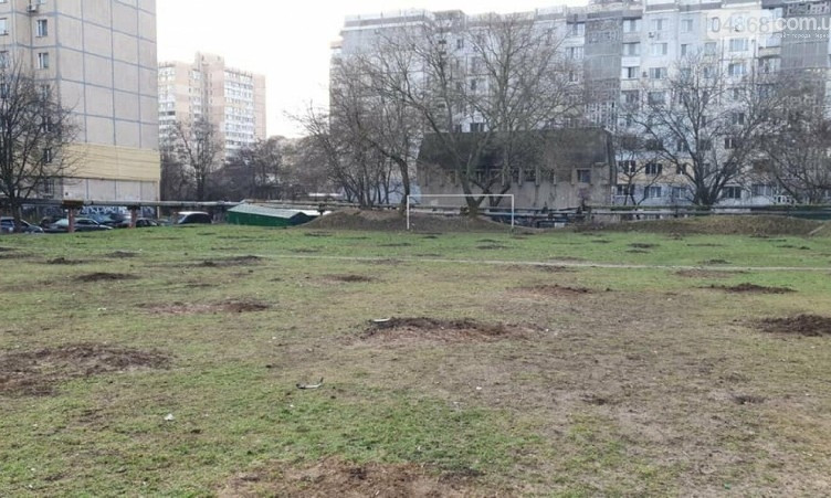 В Одессе за одну ночь с зеленой зоны украли больше 100 деревьев 