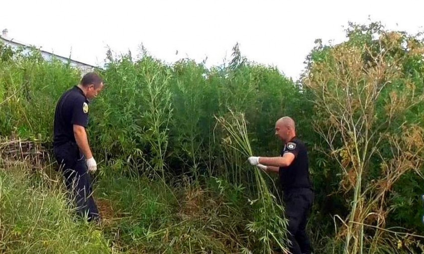 У жителя Одесской области обнаружили 13 кг запрещённых веществ