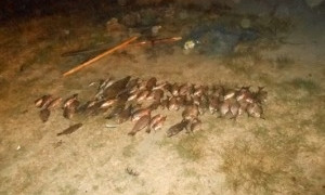 В Одесской области задержали рыбака-браконьера 