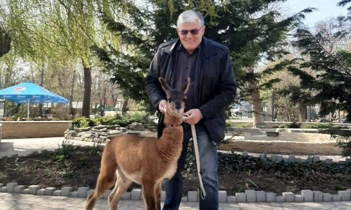 В Одесском зоопарке начался бэби-бум